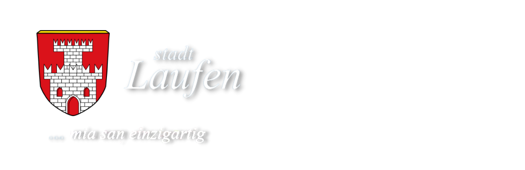 Website Logo